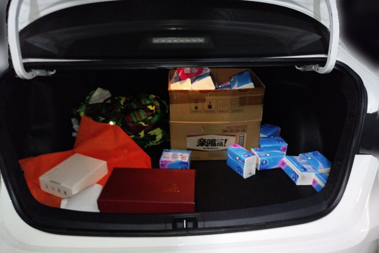 Toyota Corolla 2023 immagine di auto #17