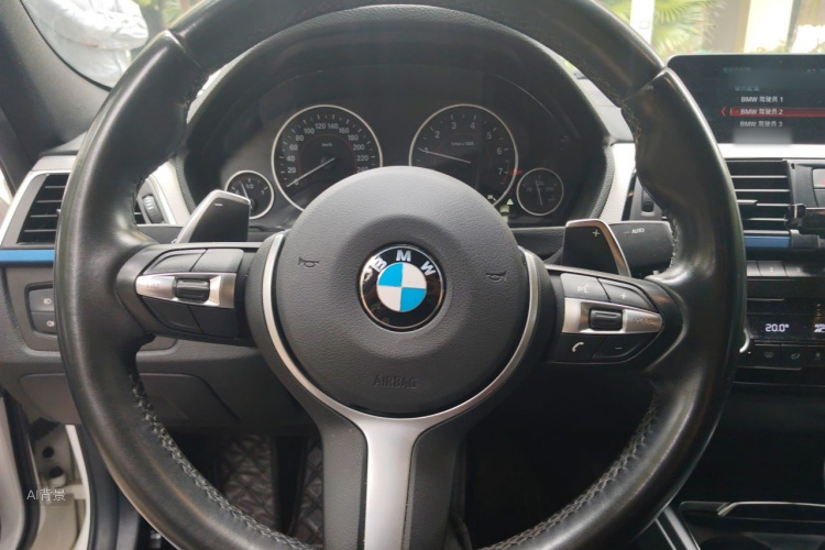 BMW 3 Series 2017 car image #12
