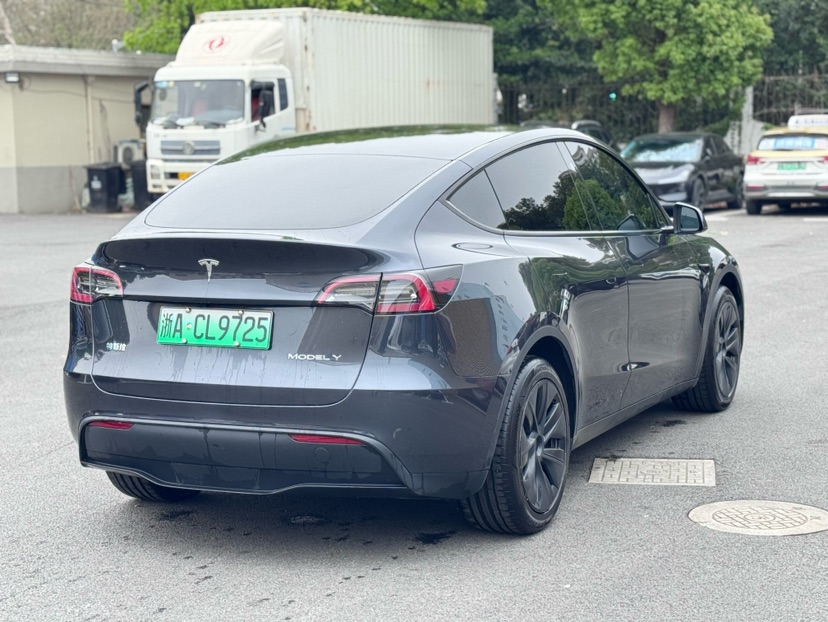 Tesla Model Y 2024 car image #7