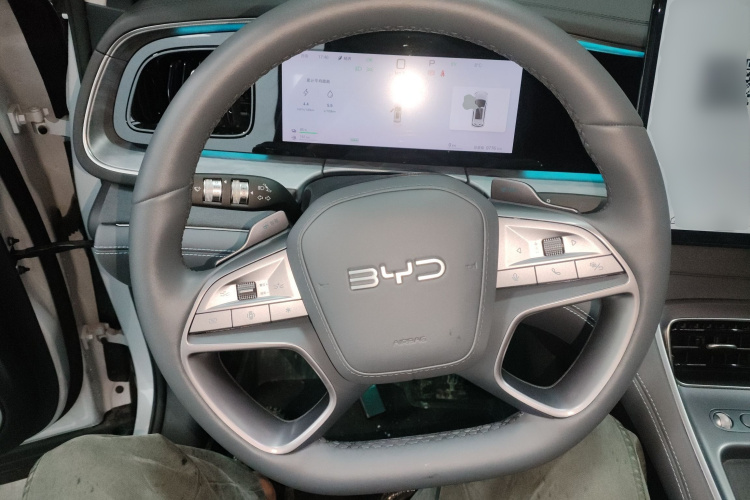 BYD Sea Lion 07 DM-i 2025 car image #15