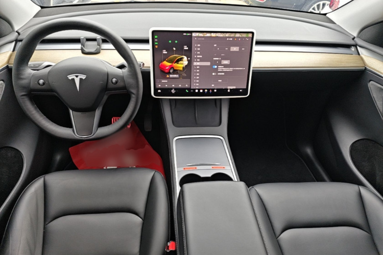 Tesla Model Y 2023 car image #10
