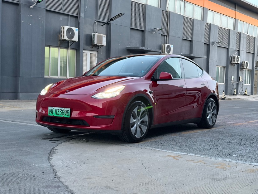 Tesla Model Y 2021 Tesla Model Y 2021 car image