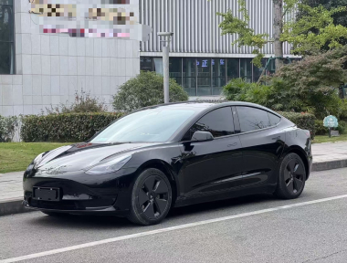 Tesla Model 3 2021 Tesla Model 3 2021 изображение автомобиля