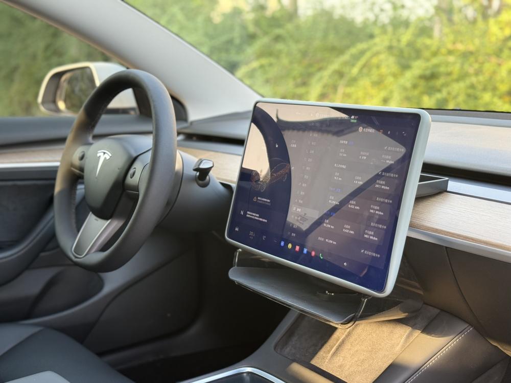 Tesla Model 3 2021 car image #10