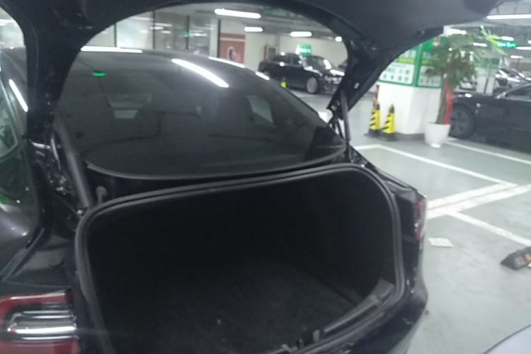 Tesla Model 3 2021 car image #19