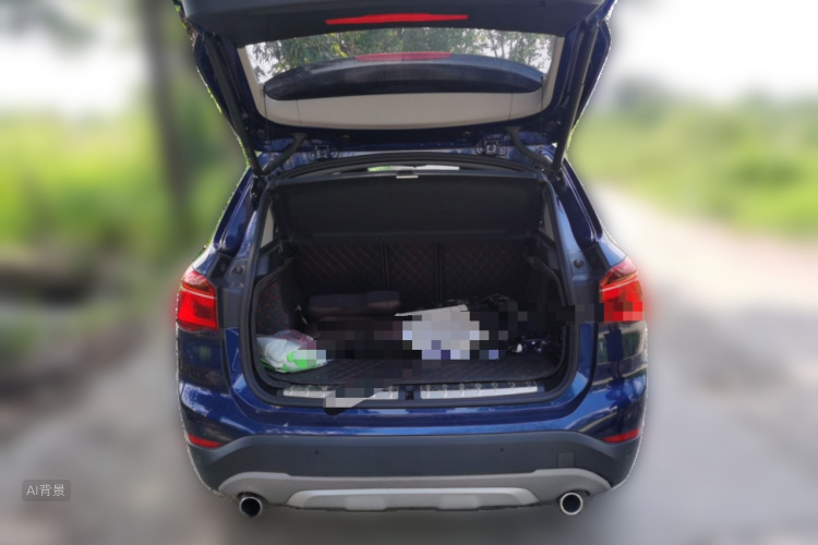 BMW X1 2019 car image #21