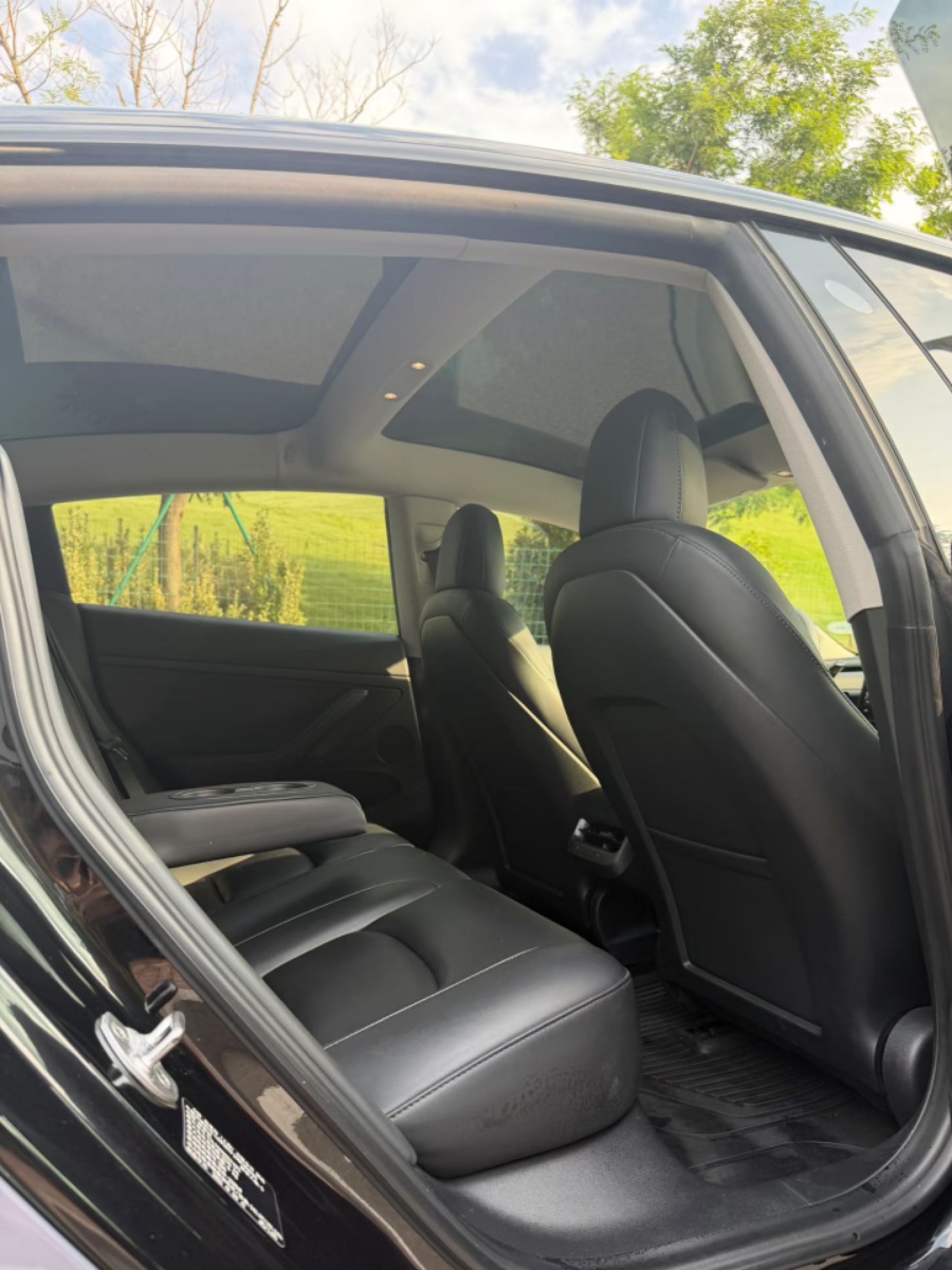 Tesla Model 3 2021 immagine di auto #6