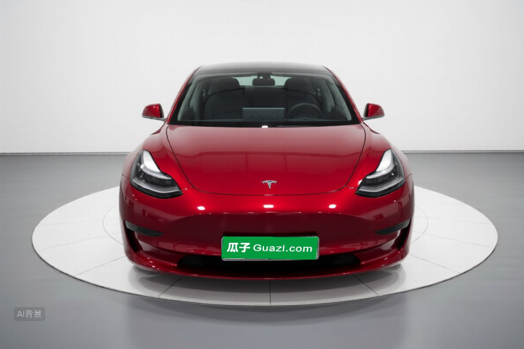 Tesla Model 3 2020 #3 Tesla Model 3 2020 car image #3
