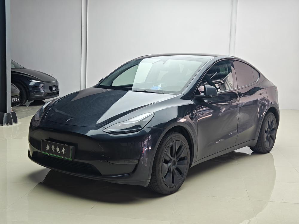 Tesla Model Y 2024 car image 