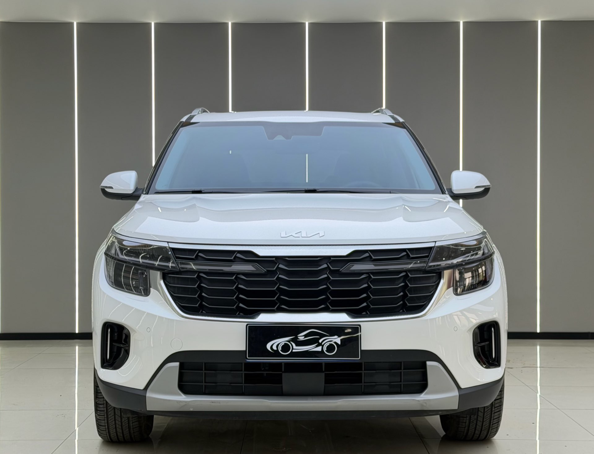 Kia Seltos 2024 imagen de coche #2