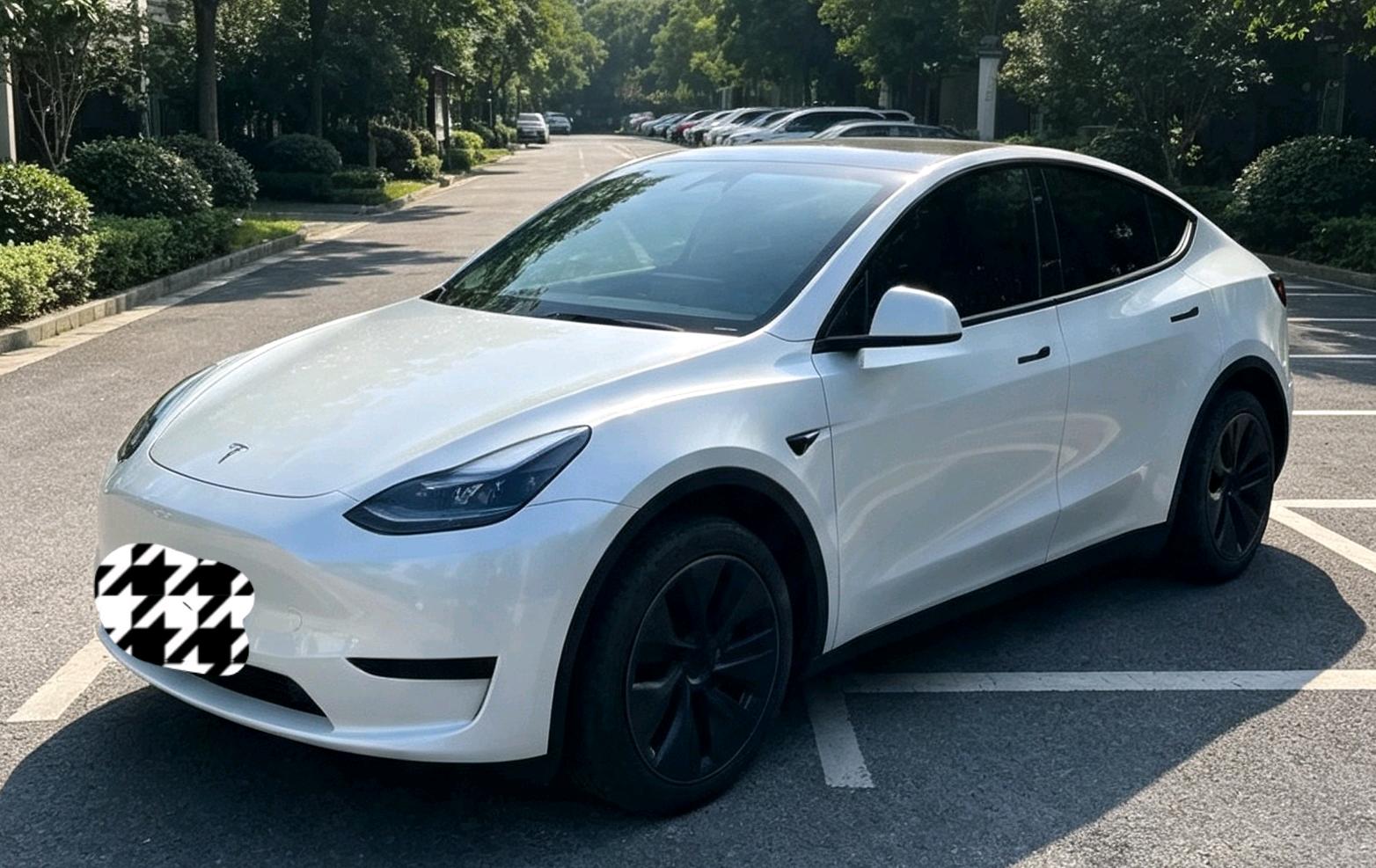 Tesla Model Y 2024 Tesla Model Y 2024 car image
