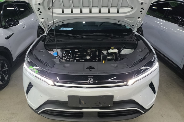 BYD YuanUP 2026 #20 BYD YuanUP 2026 car image #20