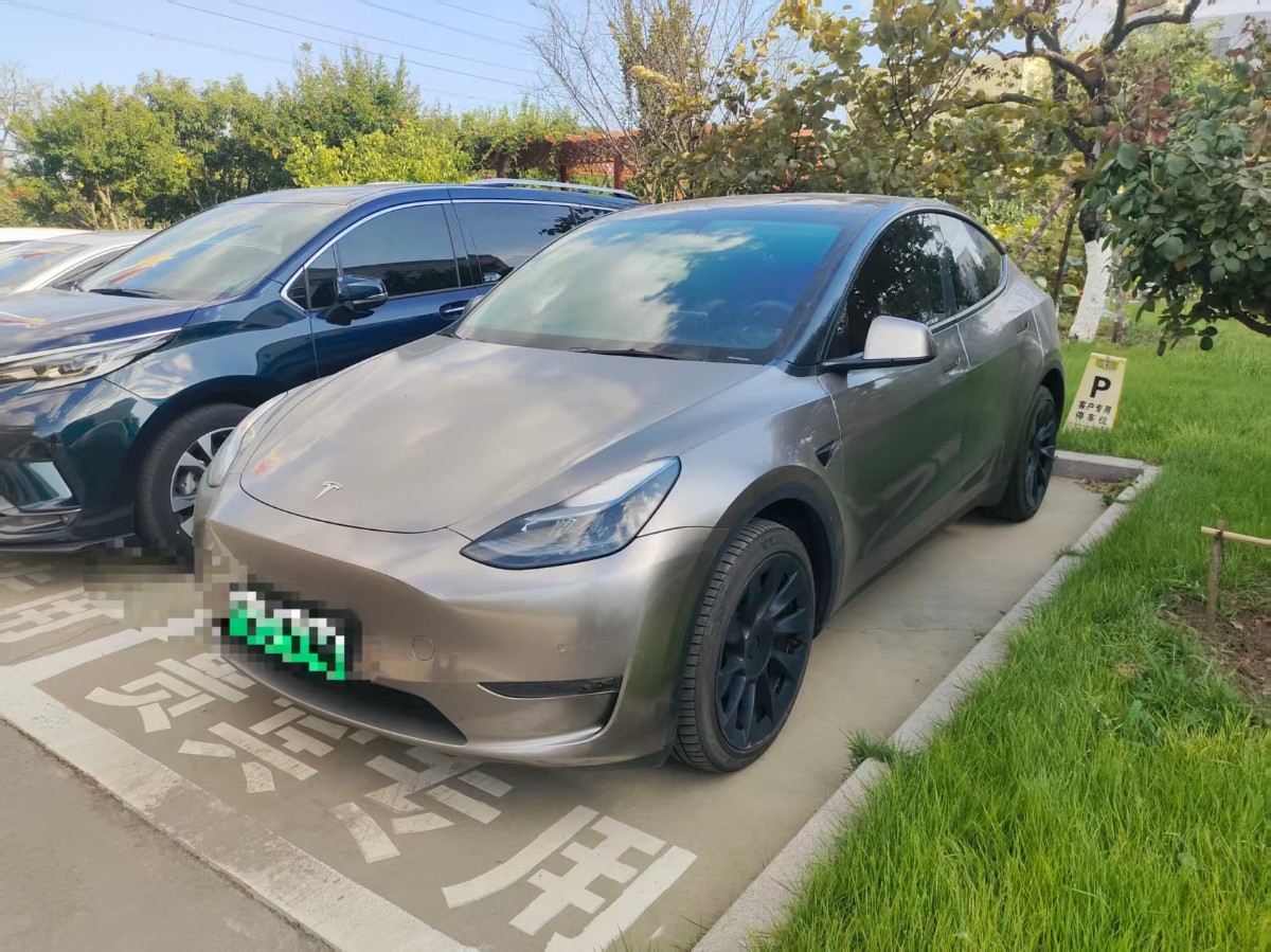 Tesla Model Y 2023 car image 