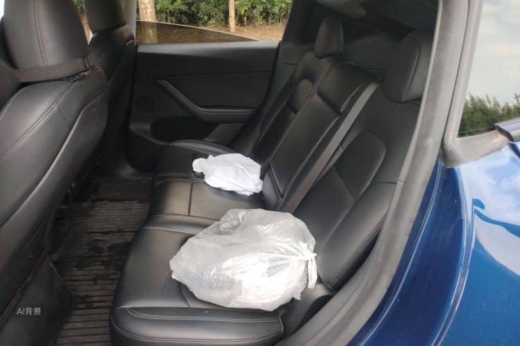 Tesla Model Y 2023 car image #19