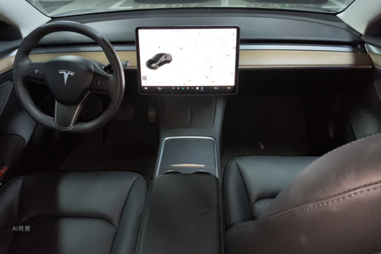 Tesla Model 3 2021 car image #11