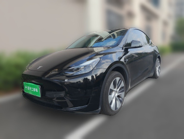 Tesla Model Y 2023 Tesla Model Y 2023 car image