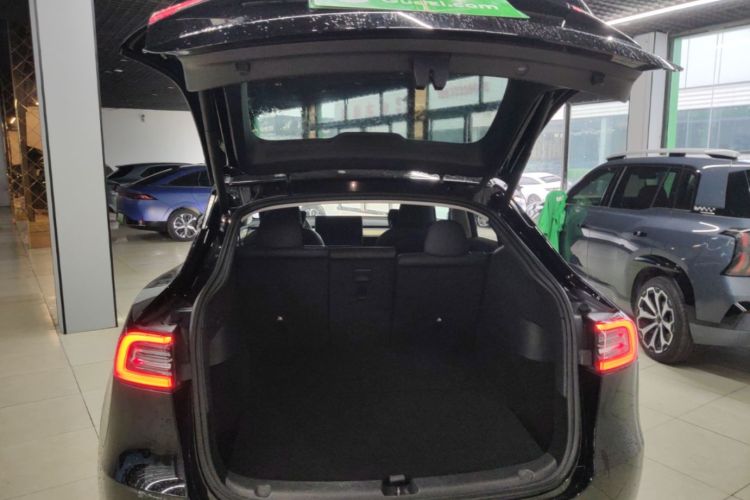 Tesla Model Y 2023 car image #19