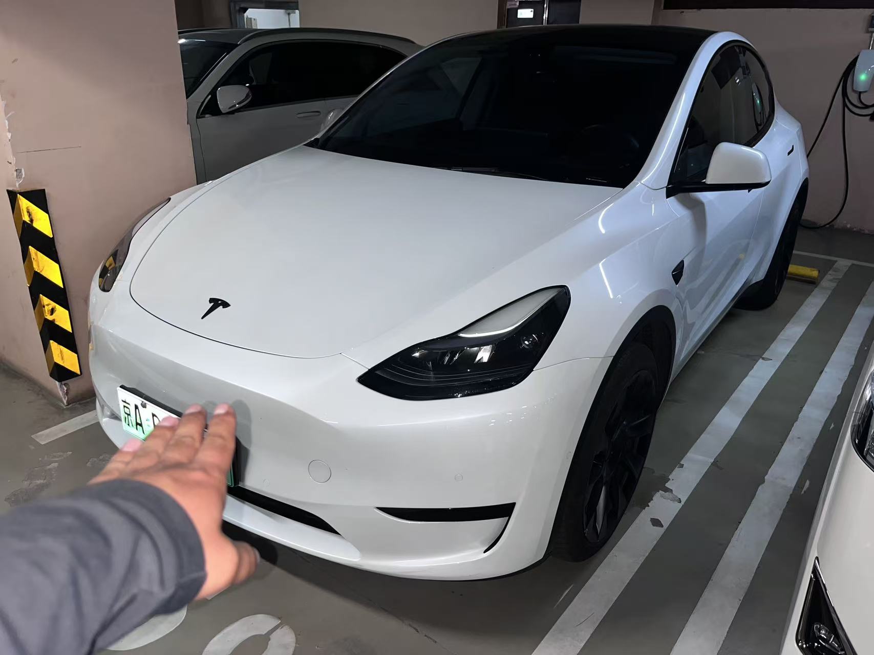 Tesla Model Y 2022 Tesla Model Y 2022 car image