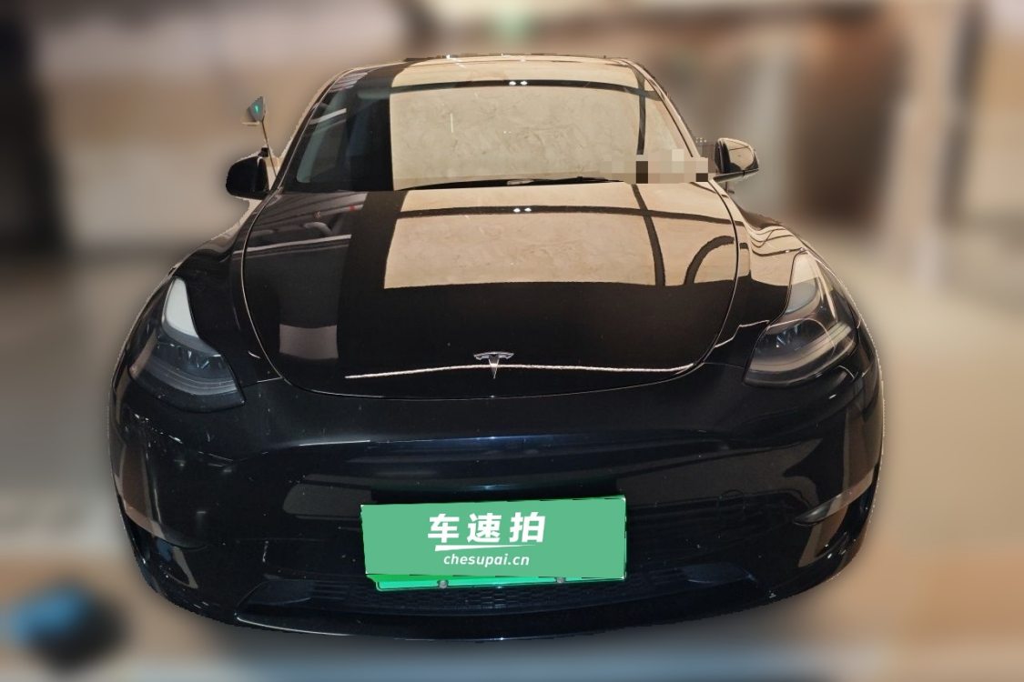 Tesla Model Y 2024 car image #5
