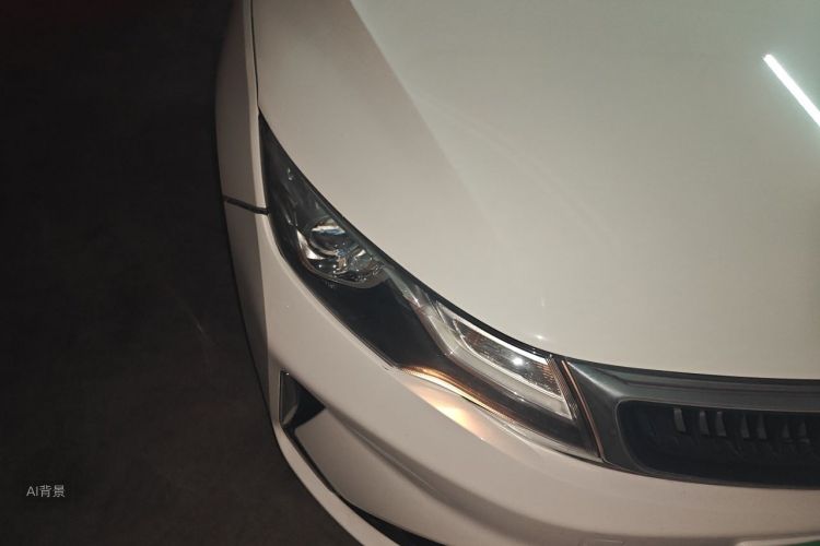 GEELY Emgrand GL 2020 car image #8