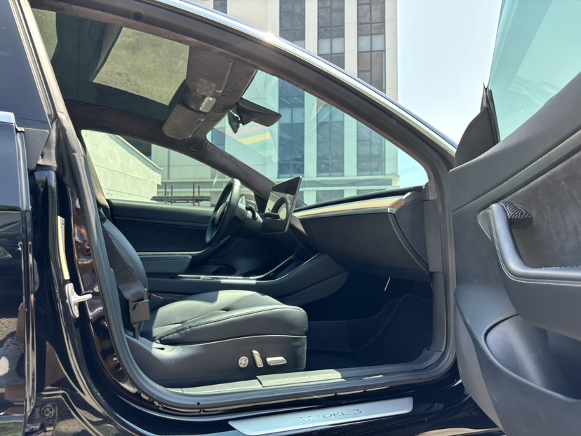 Tesla Model 3 2020 car image #13