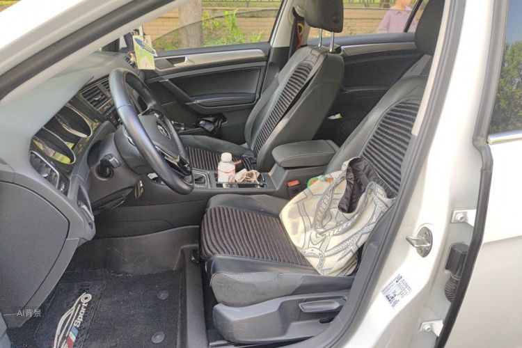 Volkswagen Golf 2019 car image #17