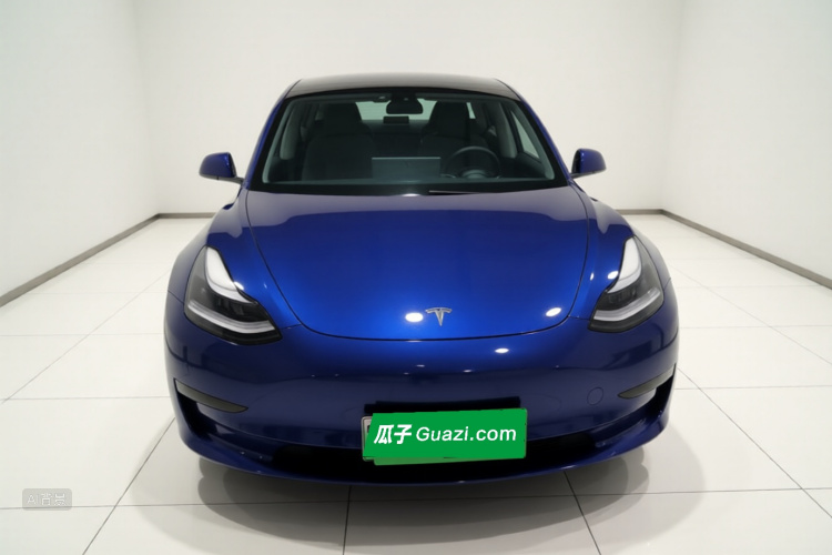 Tesla Model 3 2021 car image #3