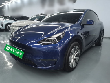 Tesla Model Y 2021 Tesla Model Y 2021 car image
