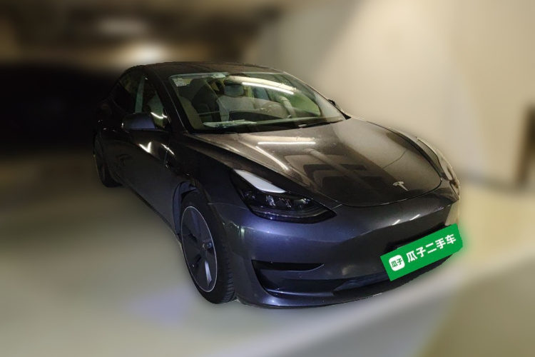 Tesla Model 3 2021 car image #4