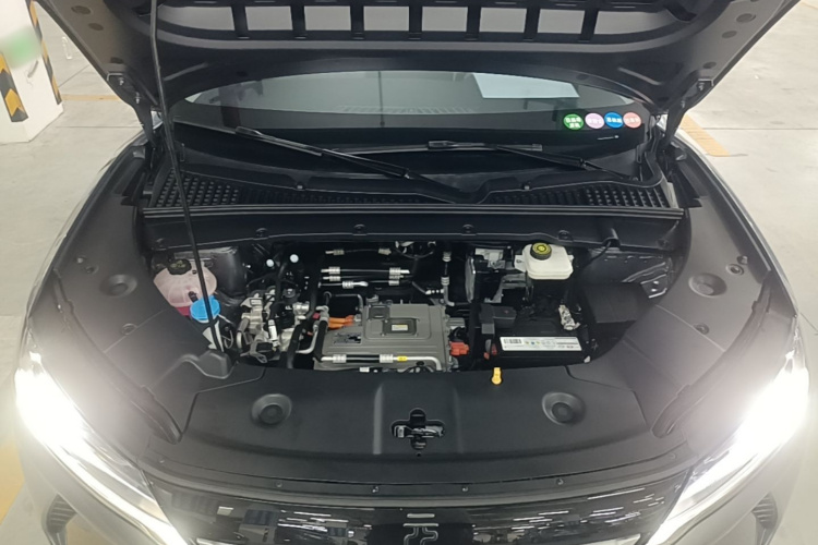BYD YuanUP 2024 car image #20