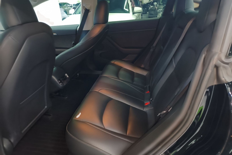 Tesla Model 3 2023 #17 Tesla Model 3 2023 صورة سيارة #17