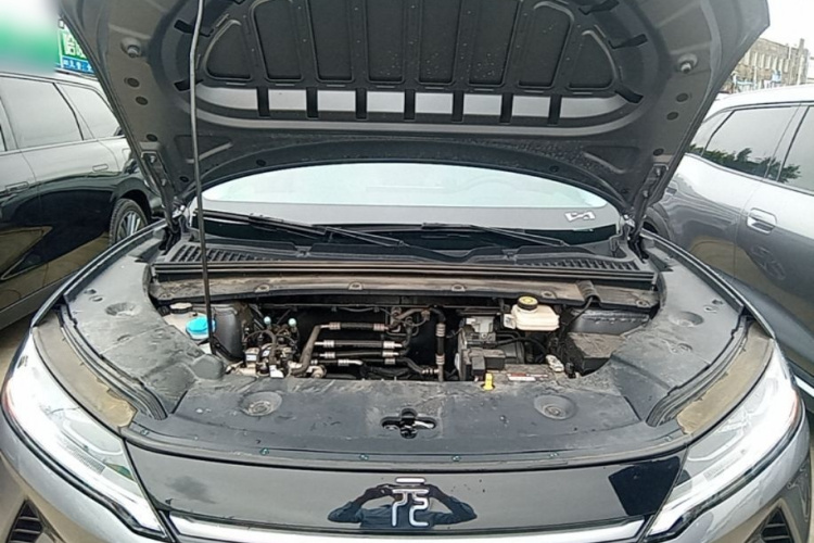 BYD YuanUP 2024 #20 BYD YuanUP 2024 car image #20
