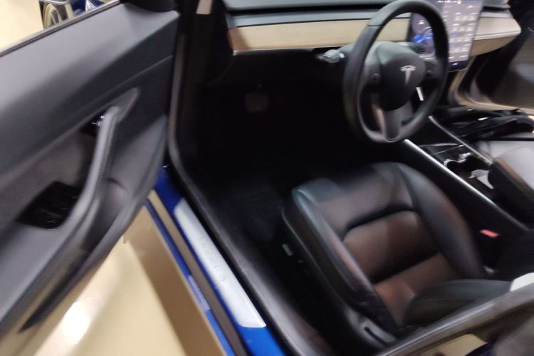 Tesla Model 3 2020 car image #16