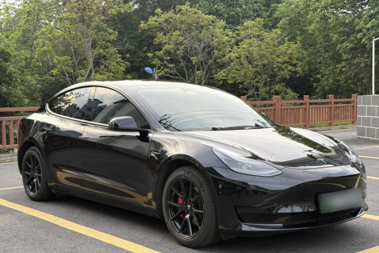 Tesla Model 3 2022 #5 Tesla Model 3 2022 car image #5