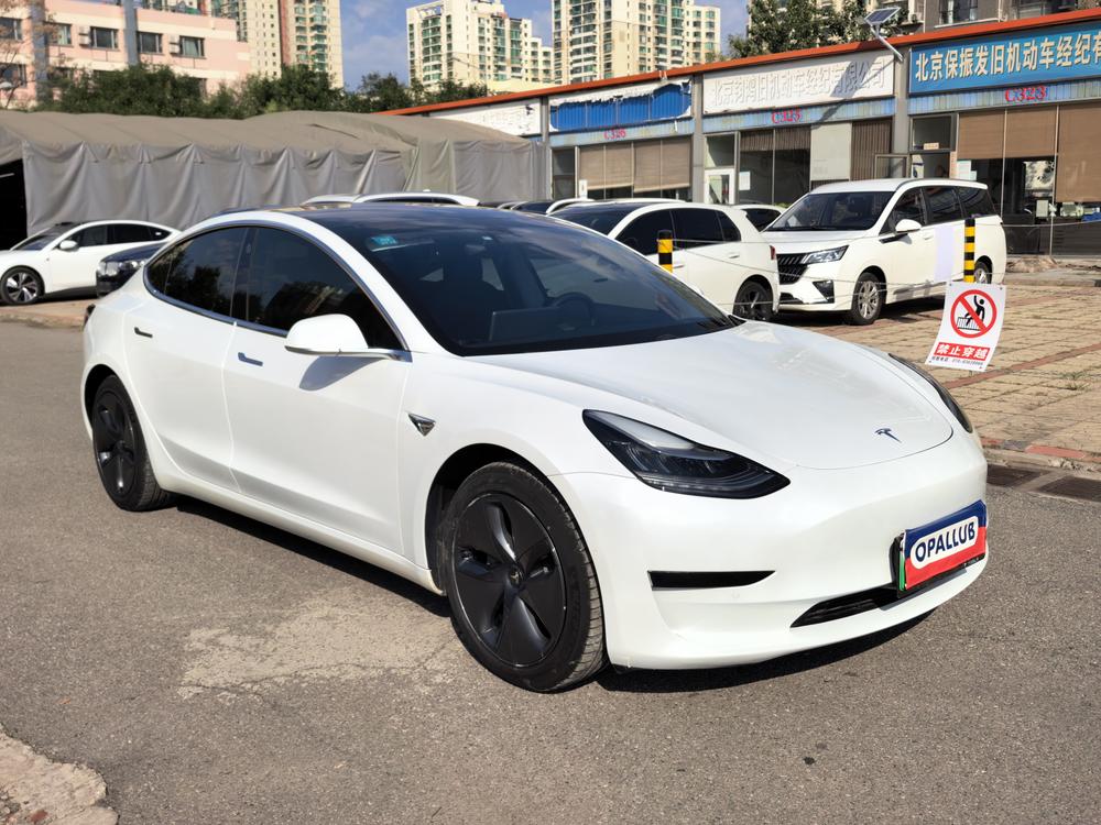 Tesla Model 3 2020 #3 Tesla Model 3 2020 car image #3
