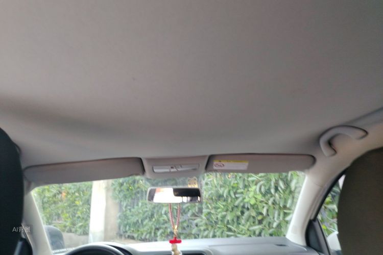 Volkswagen Polo 2014 car image #20