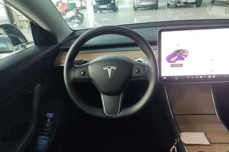 Tesla Model 3 2020 car image #11