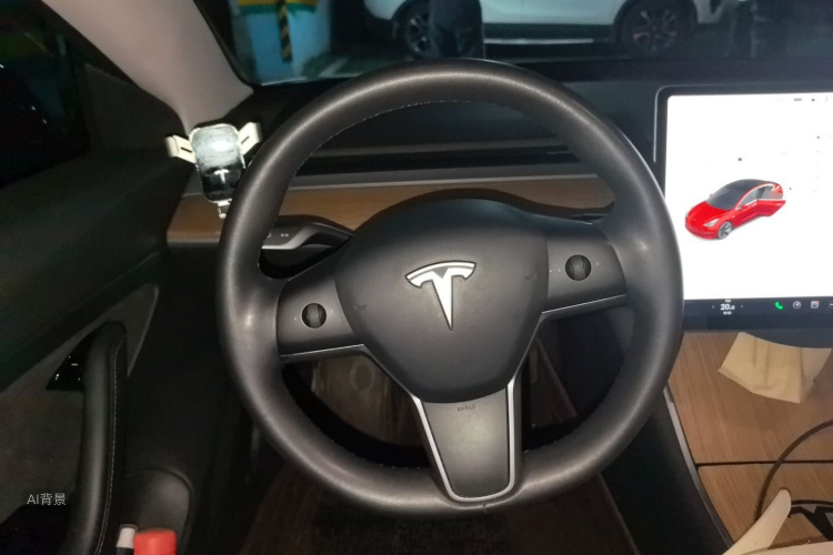 Tesla Model 3 2020 car image #12