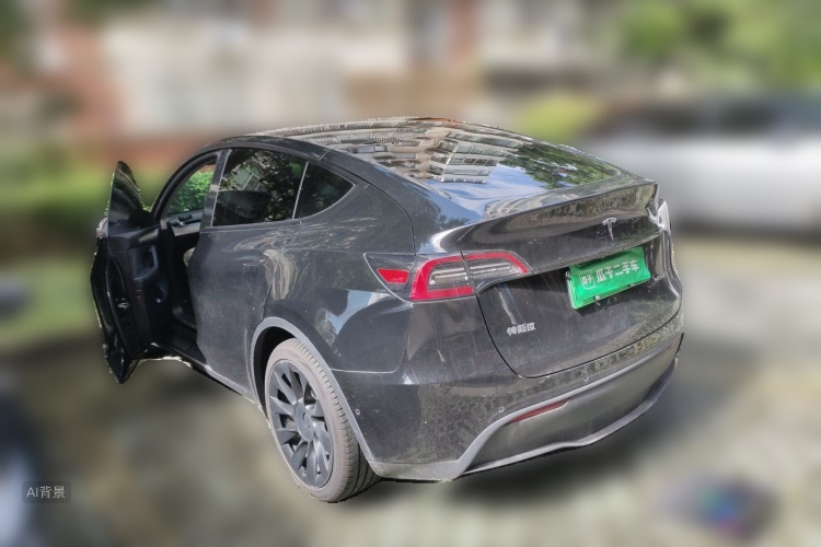 Tesla Model Y 2021 #5 Tesla Model Y 2021 car image #5