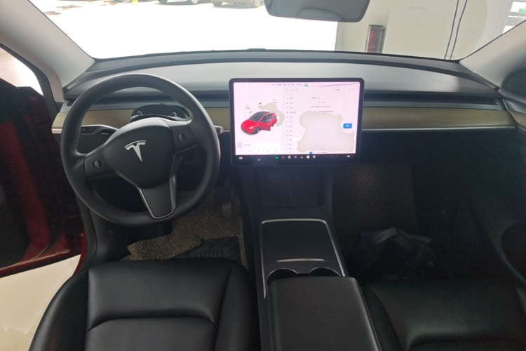 Tesla Model Y 2021 car image #10