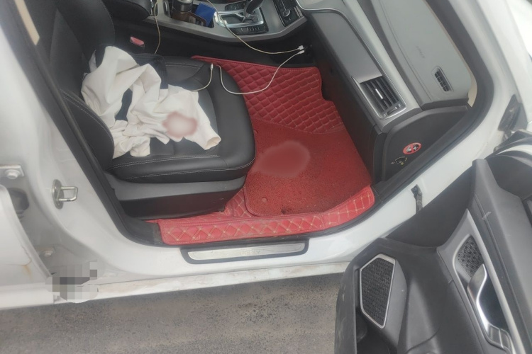 GEELY Emgrand GL 2018 car image #27