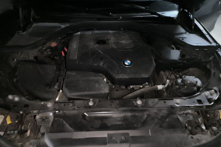 BMW 3 Series 2022 car image #22
