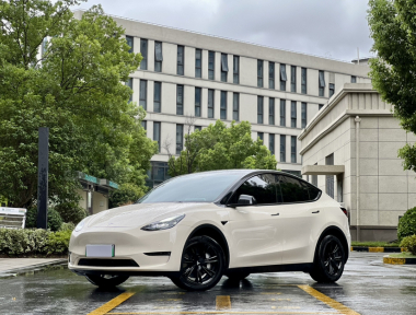 Tesla Model Y 2023 car image 