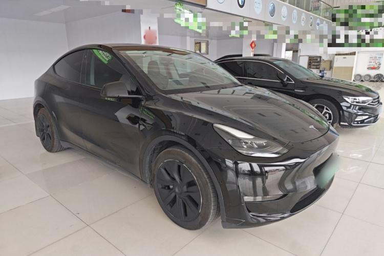 Tesla Model Y 2021 car image #4
