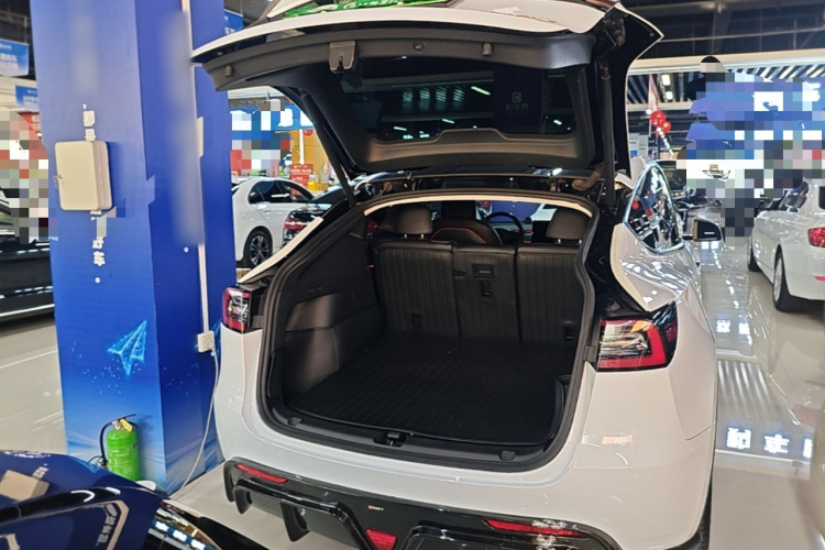 Tesla Model Y 2021 car image #19