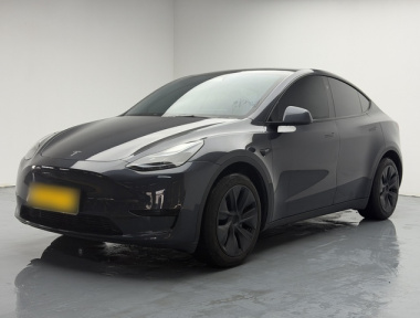 Tesla Model Y 2024 Tesla Model Y 2024 car image