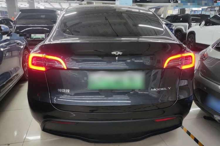 Tesla Model Y 2024 #6 Tesla Model Y 2024 car image #6