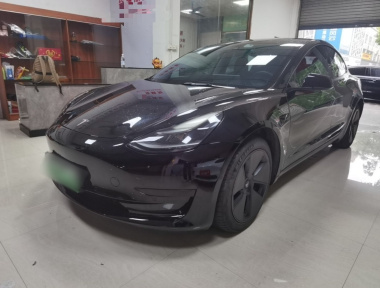 Tesla Model 3 2022 Tesla Model 3 2022 car image