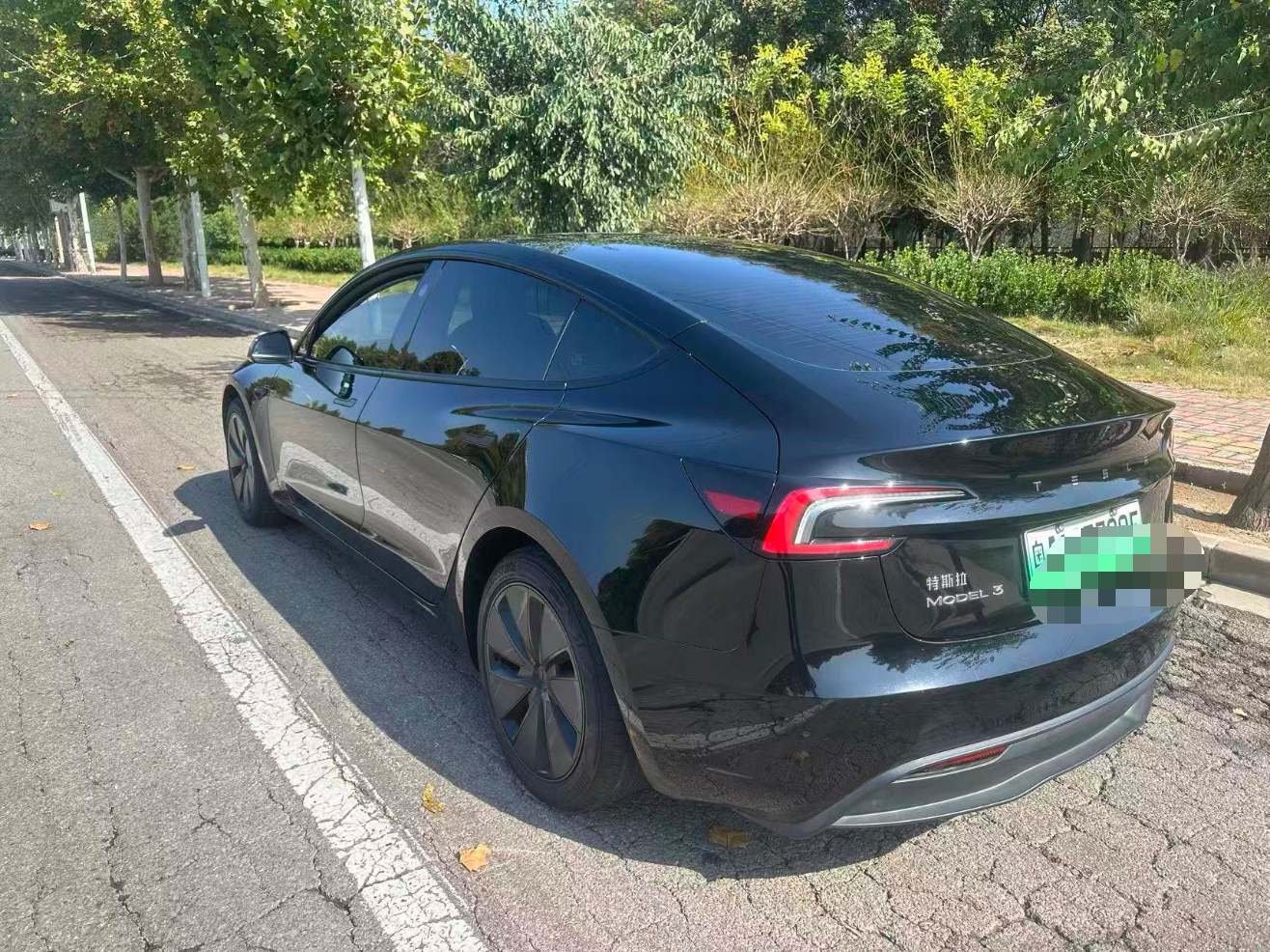 Tesla Model 3 2025 изображение автомобиля #3