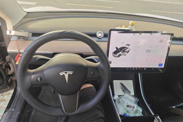 Tesla Model 3 2020 car image #13
